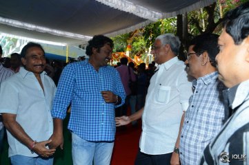 Bengal Tiger Movie Opening